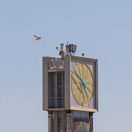 بيت ضيافة Casa Arsella فياريجيو