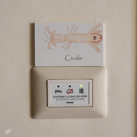 Casa Arsella بيت ضيافة فياريجيو